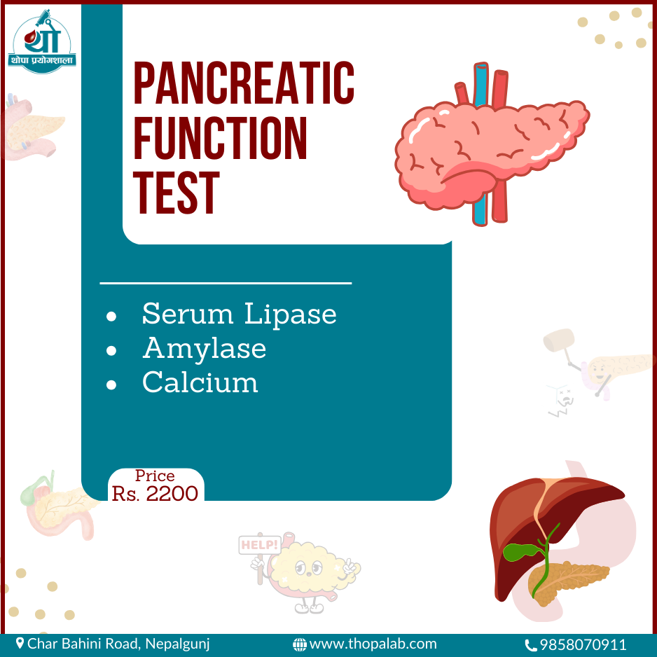 Pancreatic Function Test Pancreatic function test